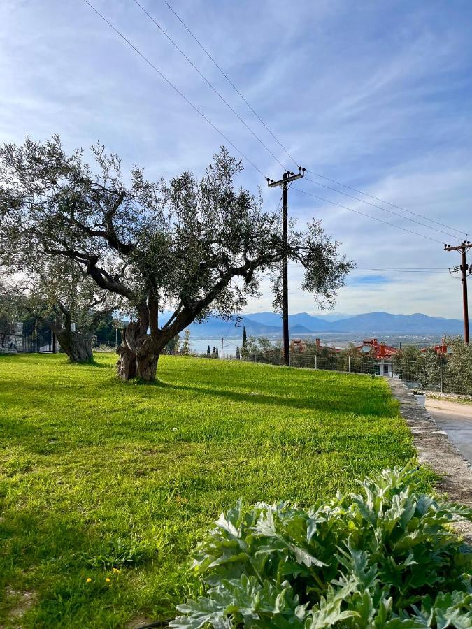 Ενtree Guest House Near Palamidi Castle 나플리오 외부 사진